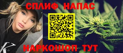 шишки Новокубанск
