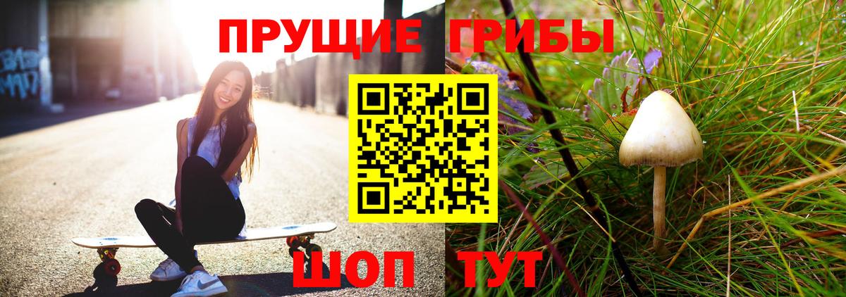 Семёнов  Галлюциногенные грибы ЛСД  Вход с VPN 